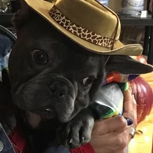 Meet your Posher, Janet